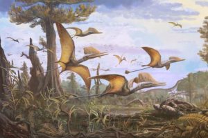 Σκωτία Ανακαλύφθηκε άγνωστο είδος πτερόσαυρου